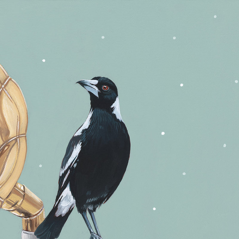Teneille Grace Art - Limited Edition Fine Art Print - Bird Song - Close Up Magpie
