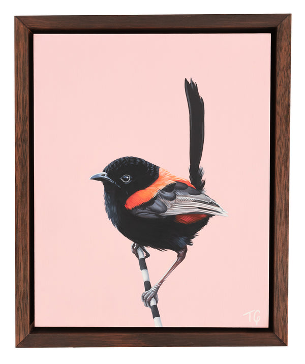 Original Artwork - 'The Wren & His Jazzy, Red Waistcoat
