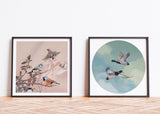 Limited Edition Print - 'You're The Fanciest Finch I Know'