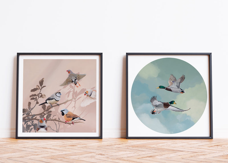 Limited Edition Print - 'You're The Fanciest Finch I Know'