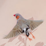 Original Artwork - 'You're The Fanciest Finch I Know'
