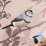 Original Artwork - 'You're The Fanciest Finch I Know'