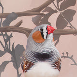 Original Artwork - 'You're The Fanciest Finch I Know'