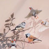 Original Artwork - 'You're The Fanciest Finch I Know'