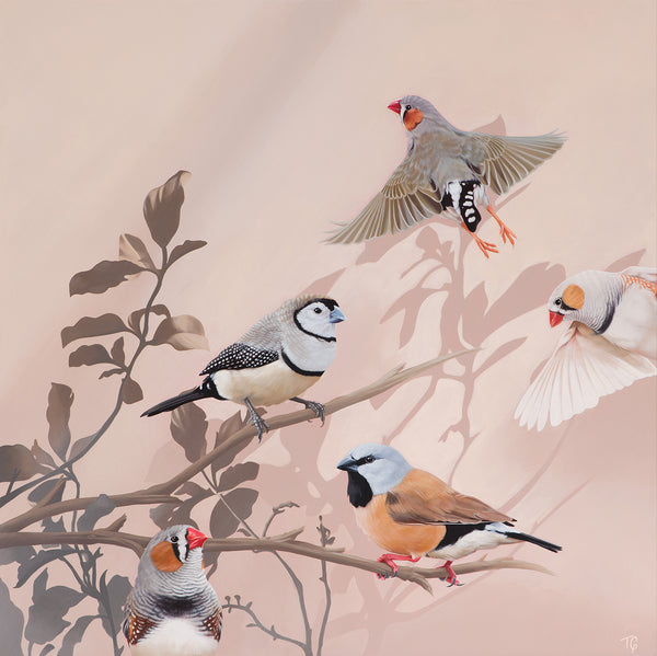Original Artwork - 'You're The Fanciest Finch I Know'