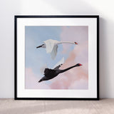 Limited Edition Print - 'You're The Yin To My Yang'